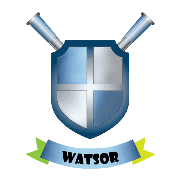 WATSOR Deep Learning Object Detection